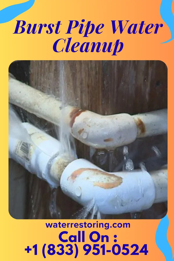 Burst Pipe Water Cleanup in Timberlake, NM